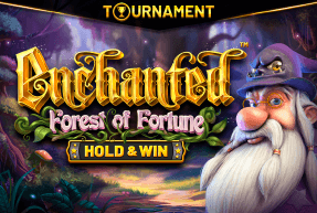 Enchanted: Forest of Fortune - Hold & Win