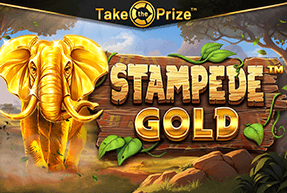 STAMPEDE GOLD