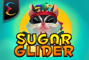 Sugar Glider